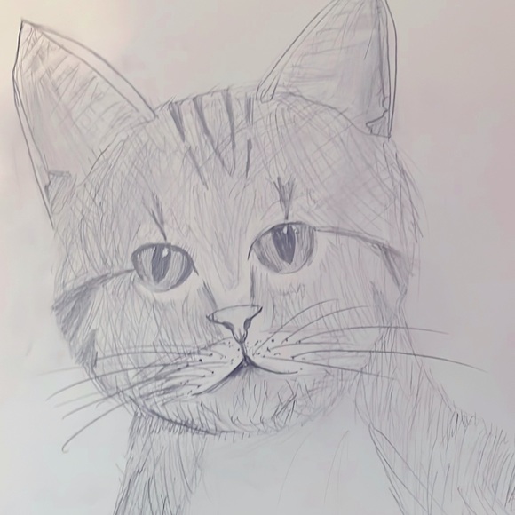 Meet your Posher, Gemma - Picture 1 of 1